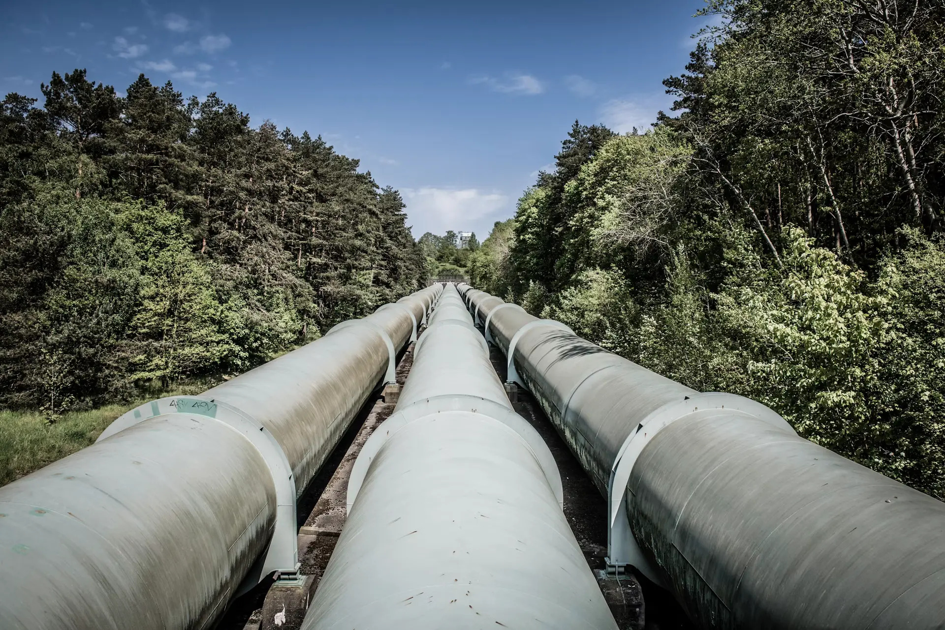 Plant-Wide Piping Surveys
